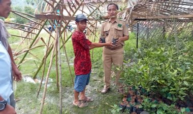 Ciptakan Ketahanan Pangan Ditengah Pandemik Covid 19, Pemdes Undolo Salurkan Sejumlah Bantuan Kepada Masyarakat