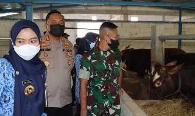 Kapolres Demak Bersama Forkopimda Melakukan Cek Peternakan Sapi dan Kerbau
