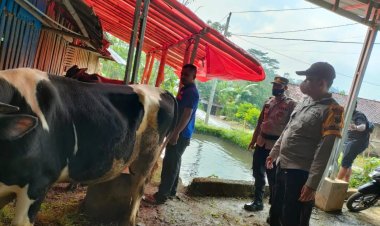 Kapolres Banjarnegara Cek Sapi Di Beberapa Tempat Dan Himbau Masyarakat Waspadai Virus PMK