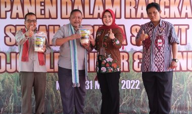 Rojolele Srinar-Srinuk Klaten Kantongi Hak Pengembangan Ekslusif