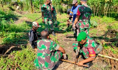 Dukung Swasembada Pangan Dimasa Pandemi Covid-19 Babinsa Ceper Datangi Petani Singkong