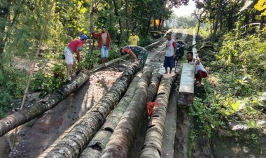 Babinsa Wonosegoro Pelopori Pembuatan Jembatan Darurat