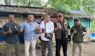 AMPHIBI BERSAMA PIMPINAN MEDIA TANAM POHON PRODUKTIF DI BANTARAN SUNGAI DELI