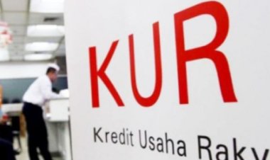 Diduga Oknum Aparatur Pemerintahan Desa Menjadi Calo Debitur KUR BRI Unit Tanjung Bintang