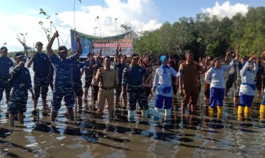 Lanal Morotai Giat Laksanakan Penanaman Mangrove di Desa Daruba