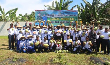 Lanal Morotai  Gelar Panen Raya Buah Semangka