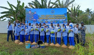 Lanal Morotai Melaksanakan Panen Raya Tanaman Hortikultura