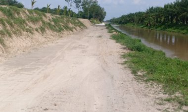 ARM OKU Timur sikapi Pembangunan Jalan Rabat Beton Desa Tanjung Sari Kecamatan Buaya Madang Timur Terkesan Mubazir Dibangun Tidak ada Penghuninya*