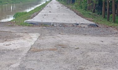 Pembangunan Jalan Rabat Beton Desa Tanjung Sari Kecamatan Buay Madang Timur Terkesan Mubazir - Tidak Tepat Sasaran