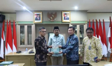 Bupati Lakukan Audiensi Dalam Rangka Penguatan Ketahanan Pangan Tanjabbar ke Bapanas RI