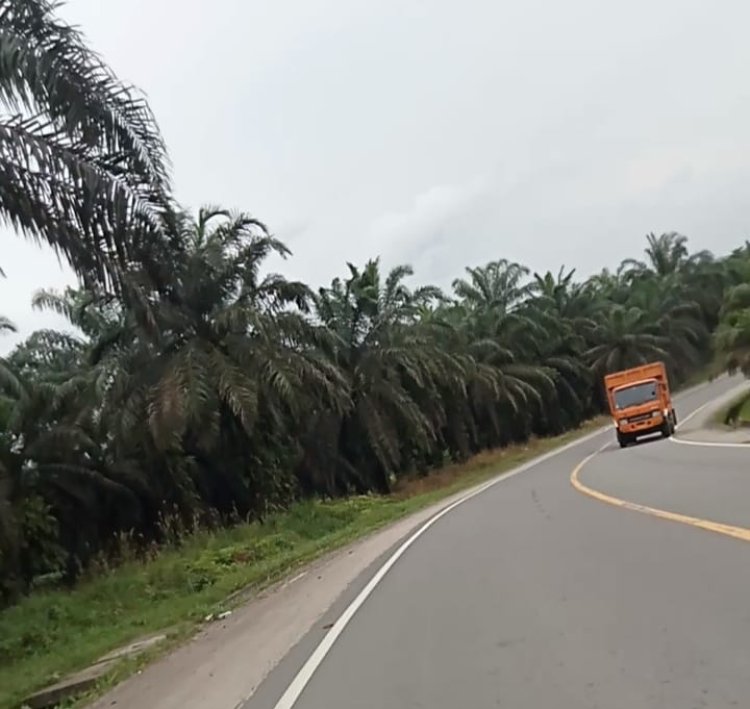 Diduga Surat Edaran Kementerian ESDM Dan Gubernur Jambi Di Kangkangi, Terlihat Truk Fuso Tetap Exis Di Siang Bolong