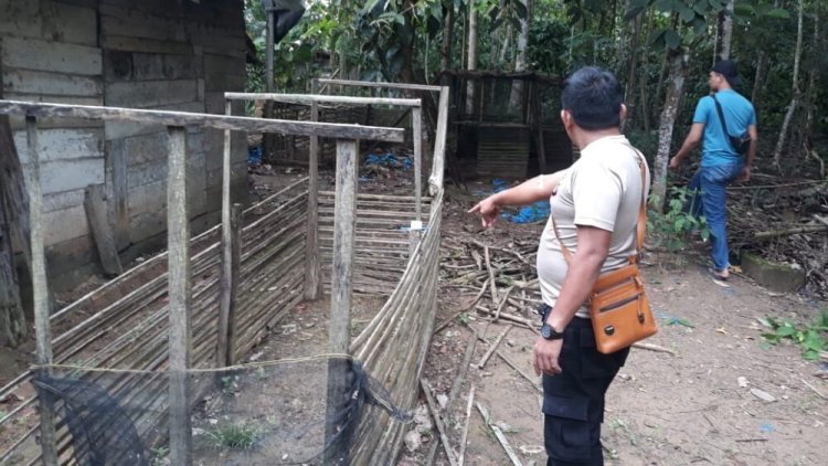 Polisi Gerebek Lokasi Judi Sabung Ayam di Penawartama
