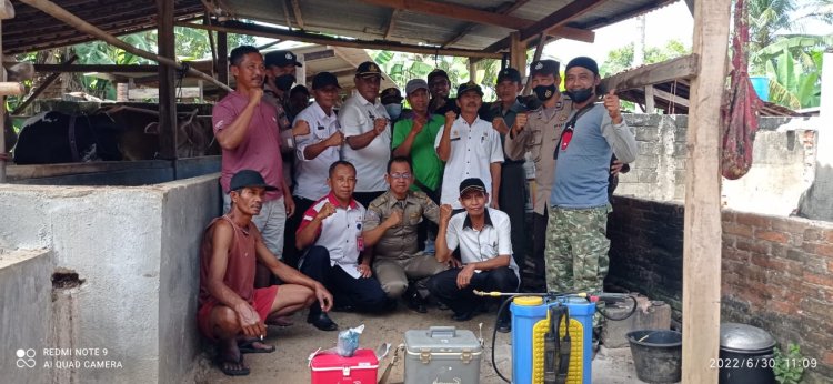 Cegah PMK Camat Trimurjo Dan Dinas Peternakan Kabupaten Lampung Tengah Berikan Vaksinasi Aftopor