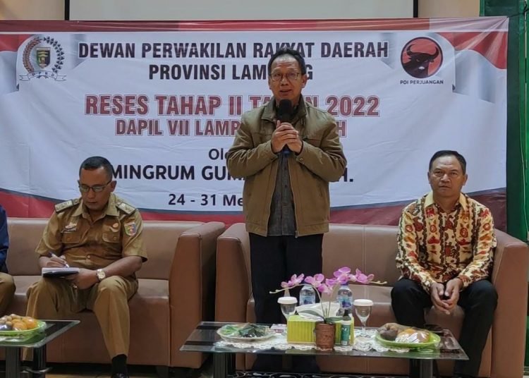 Ketua DPRD Lampung Minta Kolaborasi Dinas Dan P3A Bersatu
