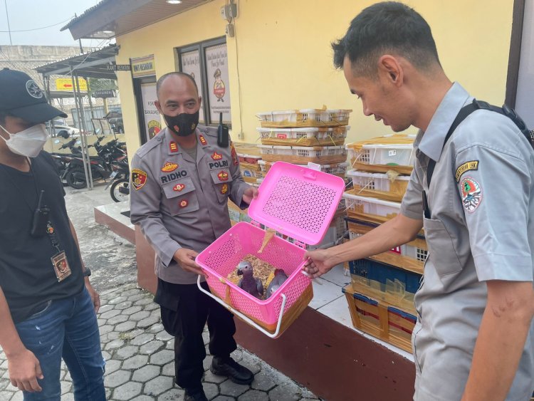 KSKP Bakauheni Polres Lamsel Polda Lampung, Kembali Amankan Burung dan Hewan Dilindungi Tanpa Dokumen Yang Sah