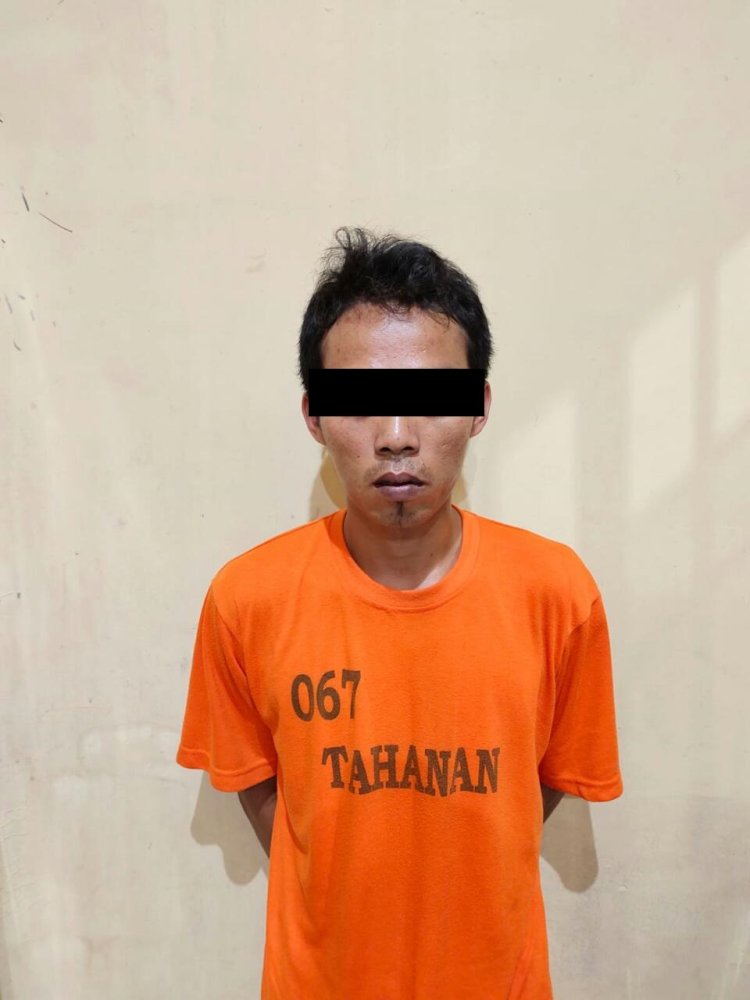 Menyimpan Ganja Dirumahnya 3,6 Kg Pelaku Berhasil Ditangkap Sat Res Narkoba Polres Lampung Tengah