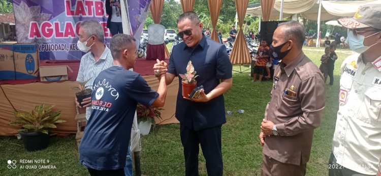 Toni Sastra Jaya Menghadiri Kontes Aglaonema Di Balai Kampung Pujo Dadi Kecamatan Trimurjo Kabupaten Lampung Tengah