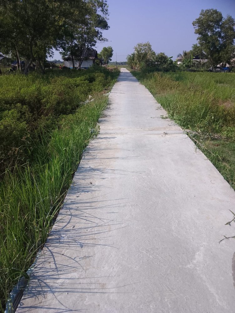 Kampung karya jitu Mukti merealisasikan jalan rabat beton mengunakan anggaran DD tahap 2