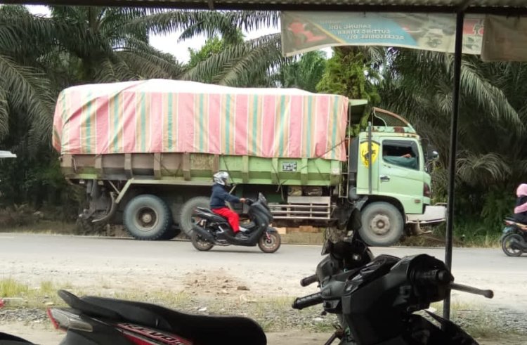 Truk Angkutan Batu Bara Terlihat Bebas Melintas Di Lintas Timur pada Siang Bolong.