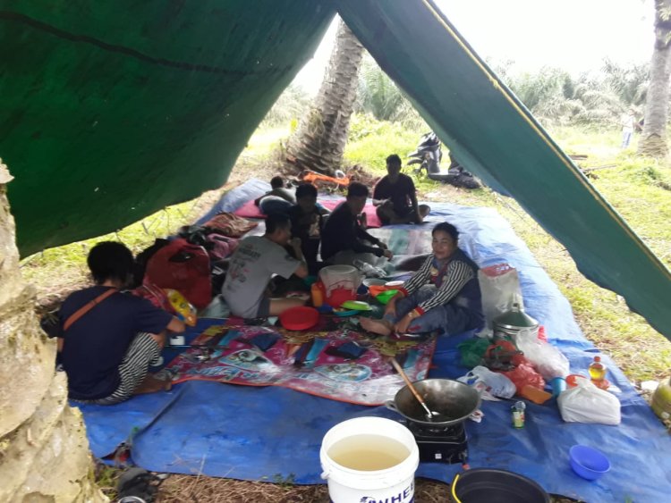 Masyarakat Adat Menduduki Lahan Sawit Sengketa di Talang Batu