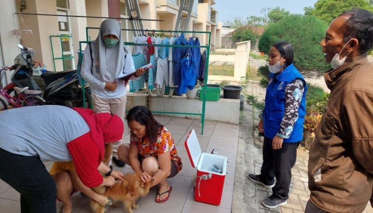 DPKP Kab. Tangerang Cegah Penularan Penyakit Rabies pada Hewan Peliharaan