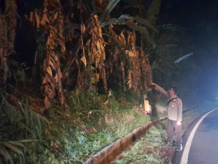 Polsek Cisarua Polres Bogor Gelar Olah TKP Lahan Kosong Yang Terbakar