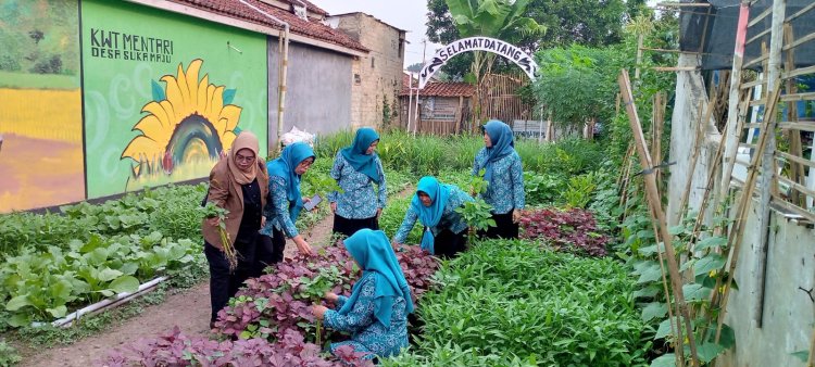 Bangga, Desa Sukamaju Kecamatan Cibungbulang Lolos 5 Besar Lomba Desa Tingkat Provinsi Jabar Tahun 2023