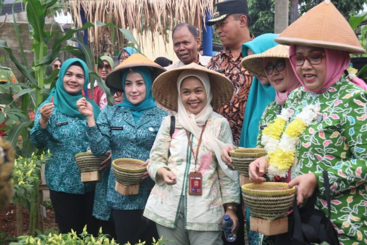 Sukses Manfaatkan Pekarangan Sebagai Sumber Gizi, TP-PKK Desa Cimanggis Masuk Nominasi Tingkat Provinsi Jawa Barat Mewakili TP-PKK Kabupaten Bogor