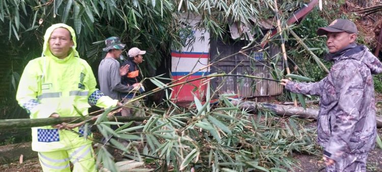 Tanah Longsor Tutup Akses Jalan Alternatif Cigombong-Cibadak - Cijeruk, Pihak Kepolisian Lakukan Pengalihan Arus Lalin