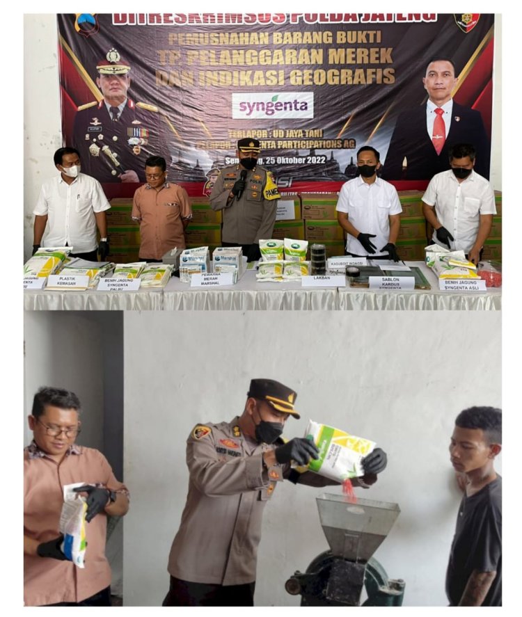 Polda Jateng Musnahkan Ribuan Kilogram Bibit Jagung Hibrida Palsu Merek “Syngenta”