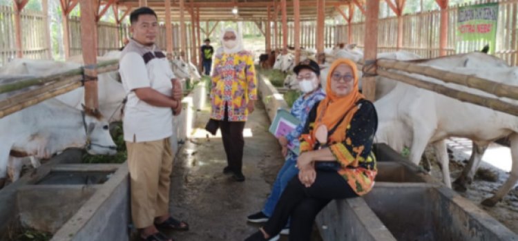 Kunjungan Kerja kepala Dinas Peternakan dan Kesehatan Hewan Provinsi Lampung Ke Kabupaten way kanan.