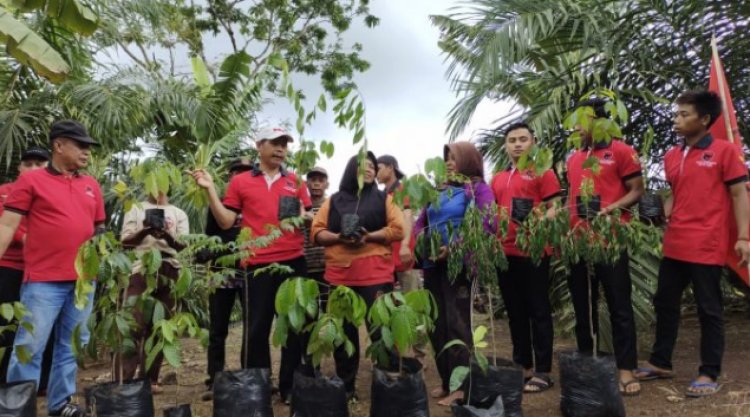 Megawati Soekarno Putri  Ulang Tahun ke-75, DPC PDI Perjuangan kabupaten Waykanan Beri Kado Penanaman pohon Serentak 