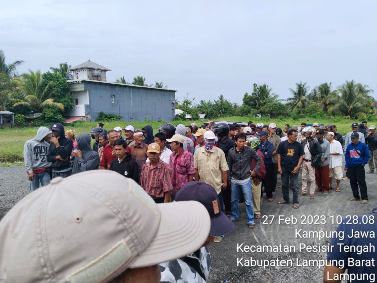 Diduga PT. KCMU Tidak Kantongi HGU Petani Plasma di Pesisir Barat Tuntut Kembalikan Sertifikat Masyarakat