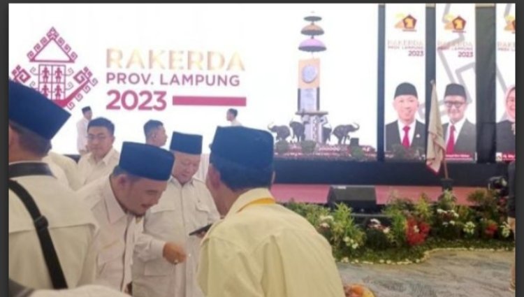 Wahrul Dicopot dari Ketua Nasdem Lampung Selatan