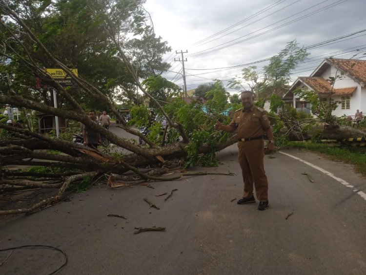 Pohon tumbang hampir timpa pengemudi motor.