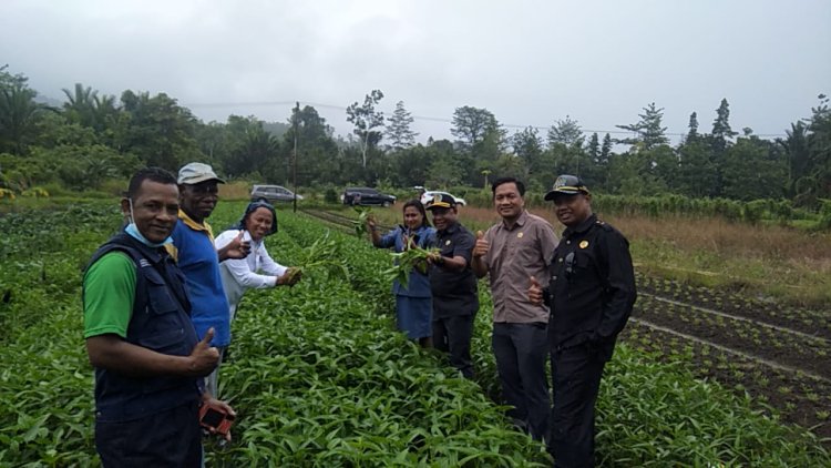 Yohanis G. Raubaba, S.Sos dan 6 Anggota DPRD Hadiri Musrenbang Distrik Angkaisera, Lanjut Kunker Ke Pertanian Masyarakat Kainui ll