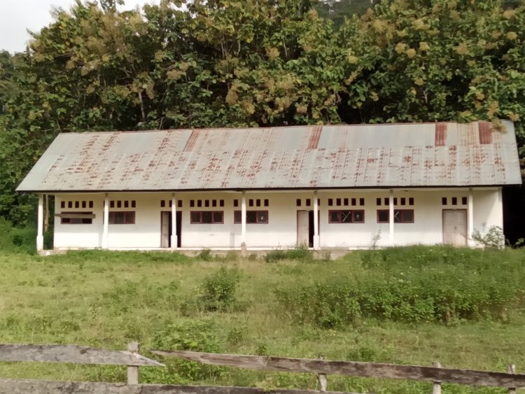 Miris! Bangunan Sekolah Tak Dimanfaatkan, Murid Sekolah Dasar Di Watumendonga Sulit Mengakses Pendidikan Yang Layak
