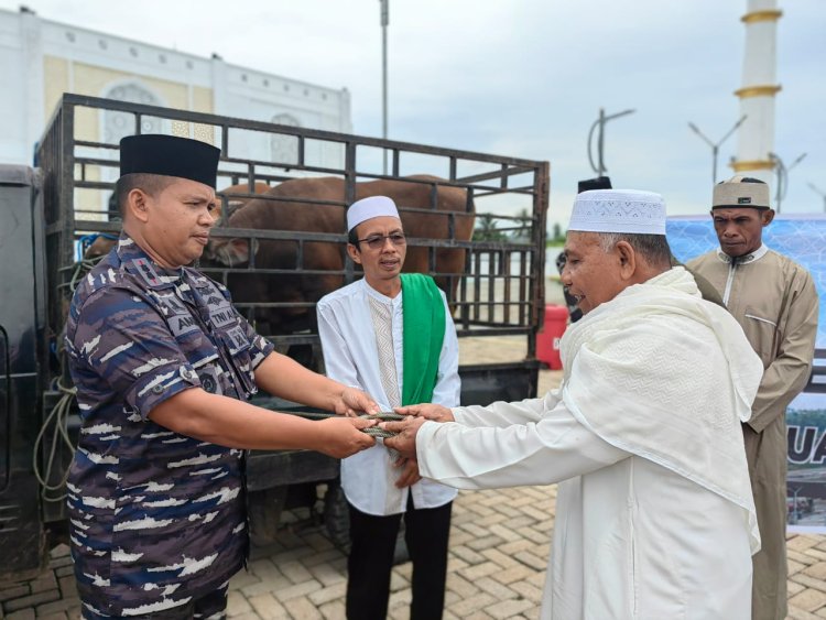 Lanal Morotai Menyerakan Hewan Qurban di Masjid Agung Baiturrahman