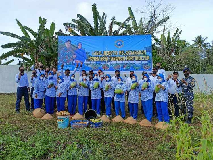 Lanal Morotai Melaksanakan Panen Raya Tanaman Hortikultura