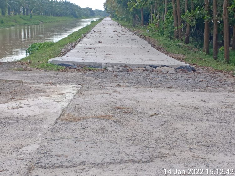 Pembangunan Jalan Rabat Beton Desa Tanjung Sari Kecamatan Buay Madang Timur Terkesan Mubazir - Tidak Tepat Sasaran