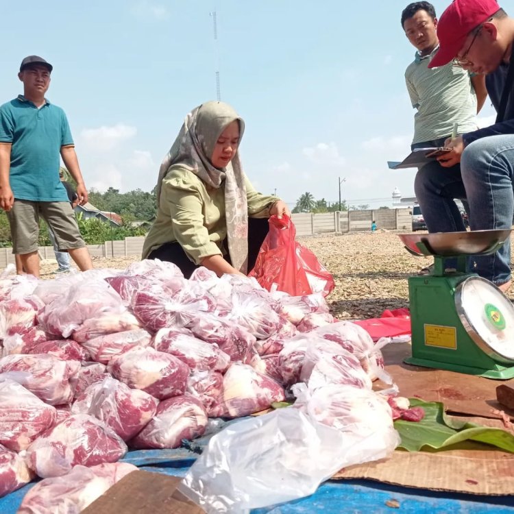 Wakil Ketua Gerindra Lampung Selatan Erma Yusneli Bagikan Ribuan Paket Daging Kurban