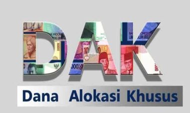 Pemda Koltim Bakal Terima DAK 25,6 M Untuk Sektor Pertanian, Perkebunan Dan Holtikultura