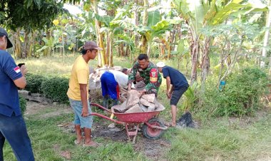 Wujud Kepedulian, Babinsa Bantu Angkat Batu Buat Pondasi Rumah Warga