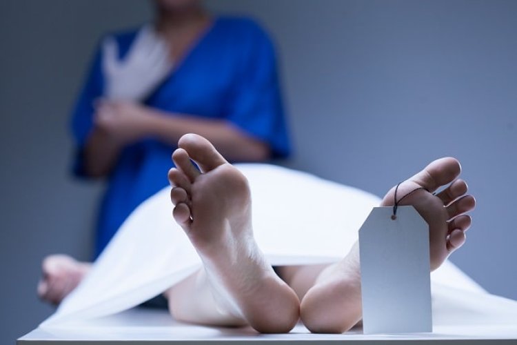 Fakta Kalau Jenzah Mirna Tidak Pernah Di Autopsi