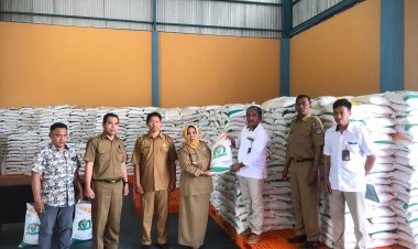 Ratusan Ton Beras CPP Bakal Disalurkan Pemda Koltim Bulan Ini