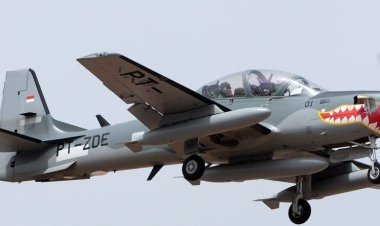 Pesawat TNI Angkatan Laut Jatuh di Lereng Gunung Bromo