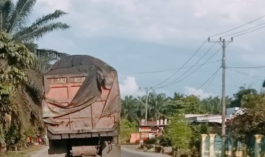 PT BPP Terancam Kena Sanksi Akibat Langgar SE Gubernur Jambi Terkait Operasional Batu-Bara