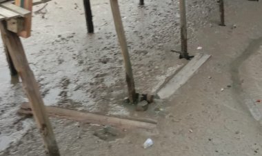 Pantastis! Jembatan Kayu Mangrove Menghabiskan Anggaran Milyaran Hampir Menelan Korban