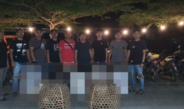 Polres Way Kanan Gerebek Judi Sabung Ayam di Baradatu