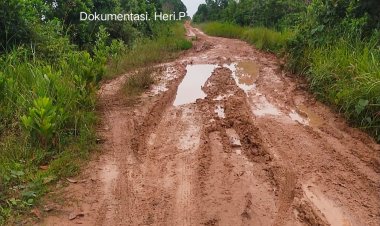 Warga Menjerit Jalan Bak Kubangan Lumpur